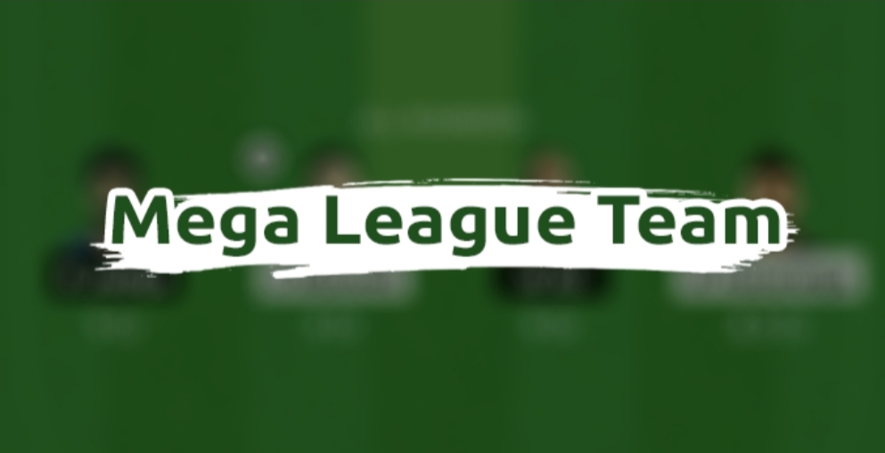 Mega League Team